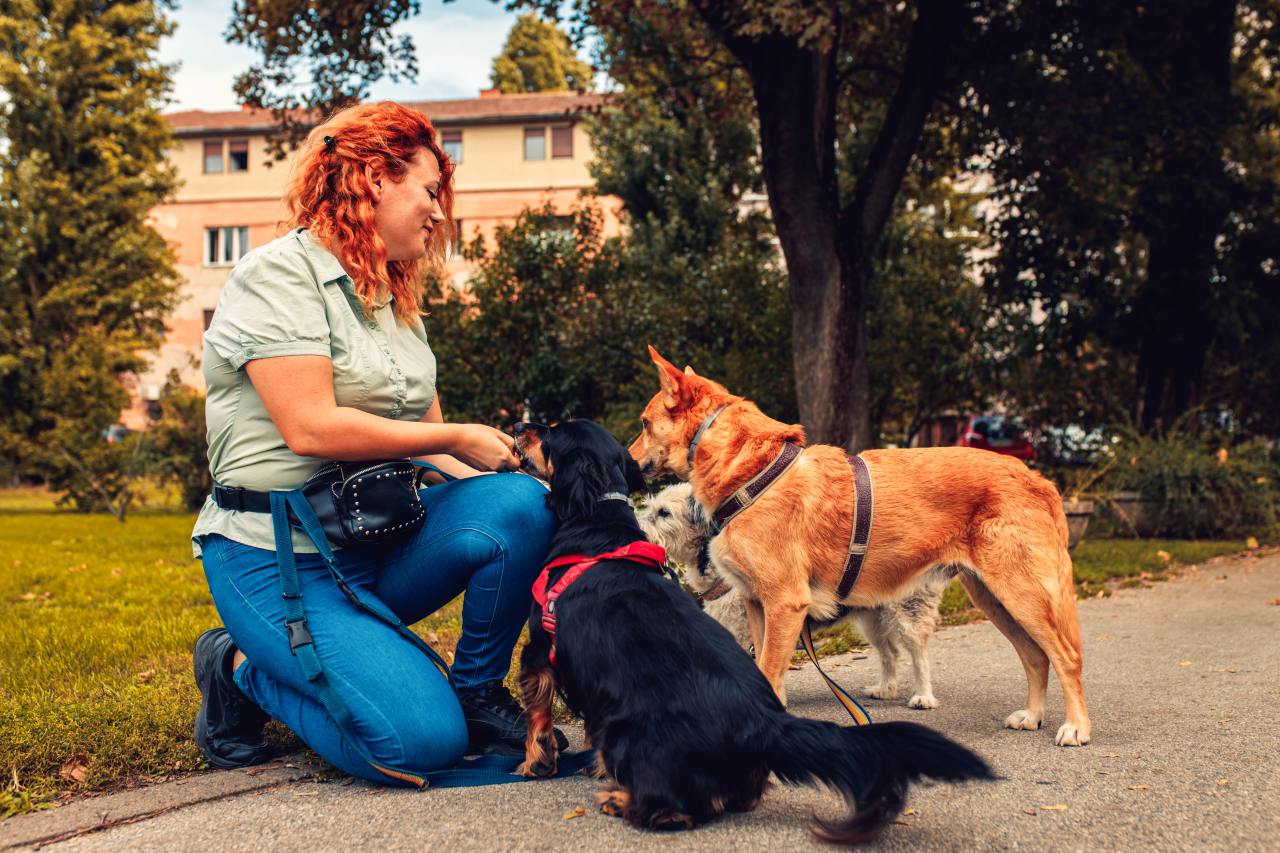 Il pet sitter giusto per il tuo animale, vicino a te.