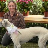 Foto di Sheila, Dog Walker a Belluno