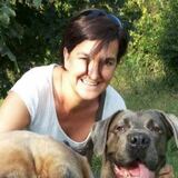 Foto di Claudia, Dog Walker a Cinisello balsamo