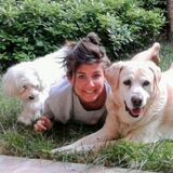 Foto di Francesca, Pet sitter a Casalecchio di reno