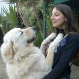 Foto di Martina, Dog Walker a Palermo