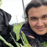 Foto di Lorenzo, Pet sitter a Legnano
