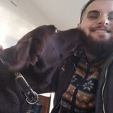 Foto di Andrea, Pet sitter a Montenars